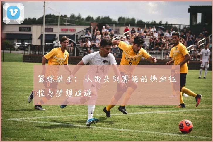 篮球进击：从街头到赛场的热血征程与梦想追逐