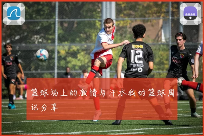 篮球场上的激情与汗水我的篮球周记分享