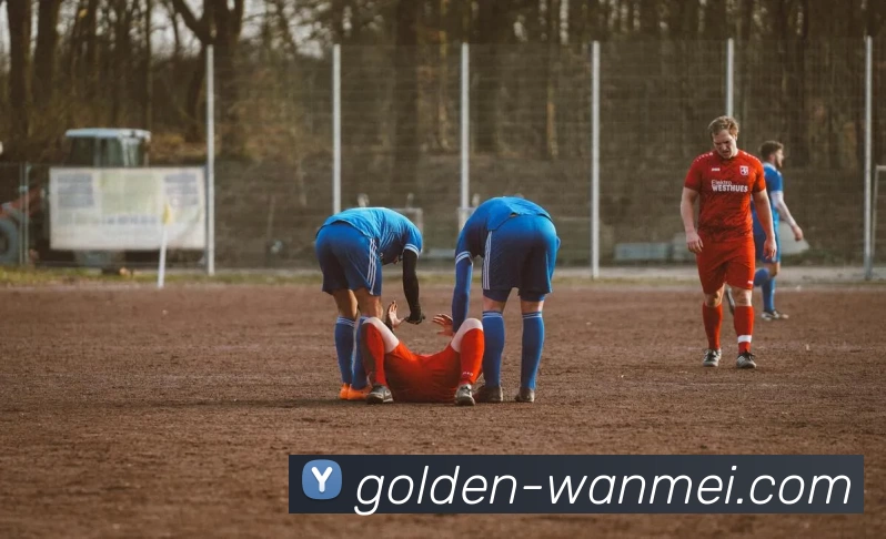 完美体育平台生态图