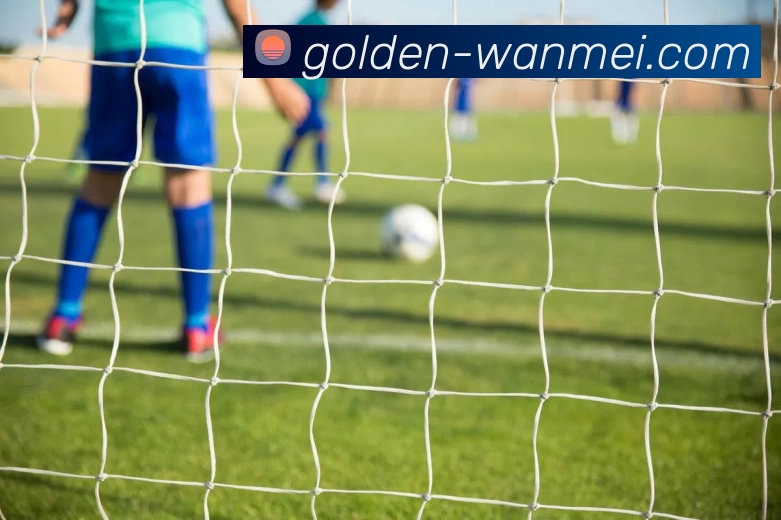 完美体育全站App